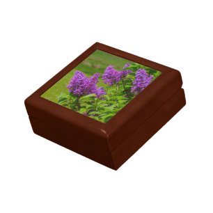 Beautiful lilacs, purple flowers, keepsake gift box