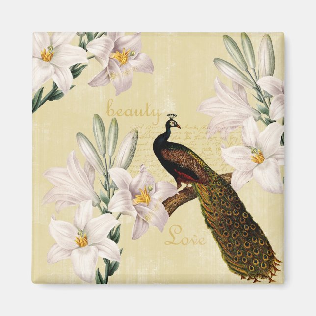 Beautiful Lilies Peacock Magnet (Front)