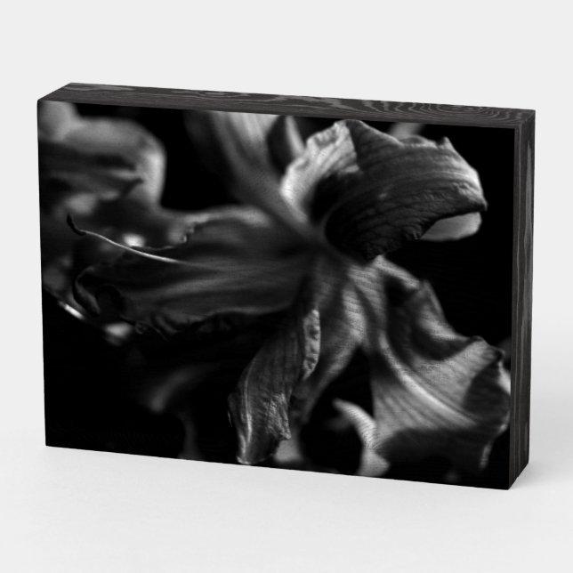 Beautiful Lily Flowers Wooden Box Sign (Angled Horizontal)