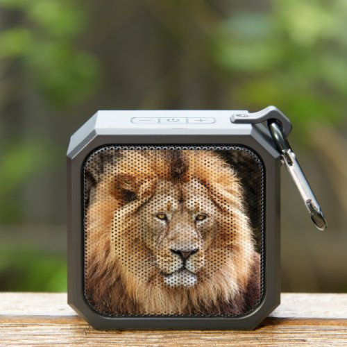 Beautiful Lion Face Photo Bluetooth Speaker