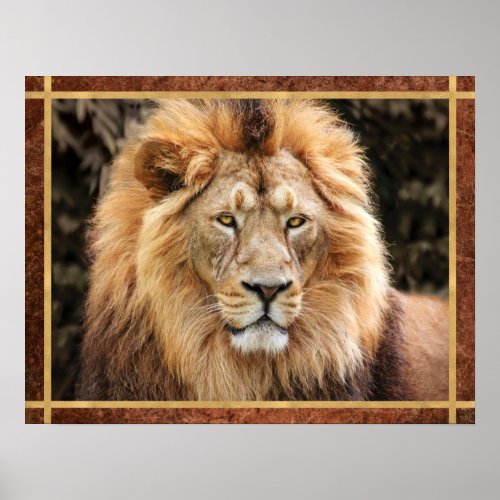 Beautiful Lion Face Photo Poster