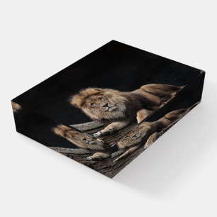 Beautiful Lion Paperweight