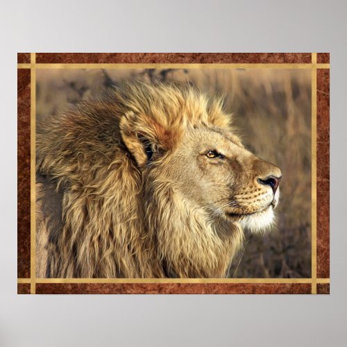 Beautiful Lion Photo Poster
