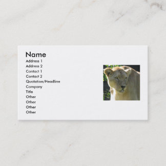 Beautiful Lioness Business Card