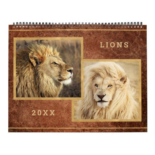 Beautiful Lions Photo Image Calendar