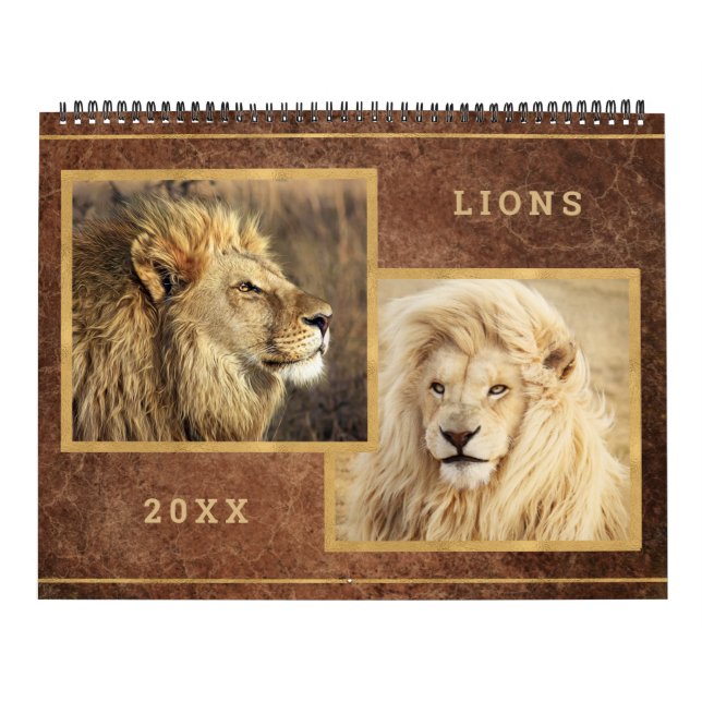 Beautiful Lions Photo Image Calendar (Cover)