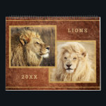 Beautiful Lions Photo Image Calendar<br><div class="desc">Beautiful Lions Photography Portraits. Enjoy a different lion photograph each month of the year. 12 gorgeous lion portrait. With rich golden,  browns,  and beige colors. The neutral colors will blend well in any room of the house. Ready for you to enter the year.</div>