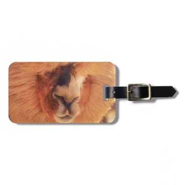 Beautiful Llama Alpaca Luggage Tag Beautiful Llama Alpaca Luggage Tag