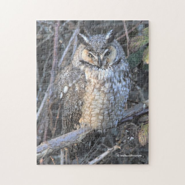 Beautiful Long-Eared Owl at Sunset Jigsaw Puzzle (Vertical)