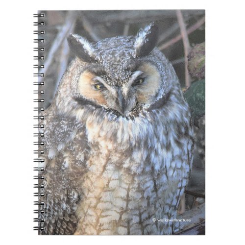 Beautiful Long_Eared Owl at Sunset Notebook