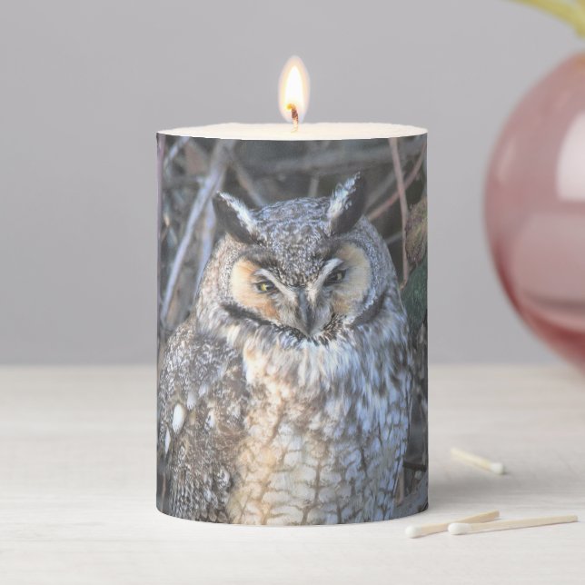 Beautiful Long-Eared Owl at Sunset Pillar Candle (In Situ)