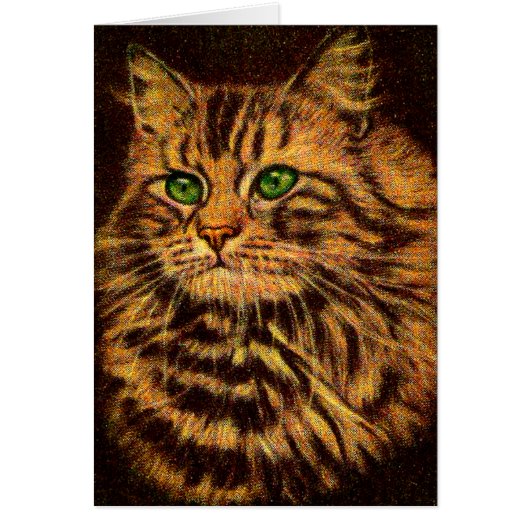 beautiful long-haired tabby cat cards (Front)