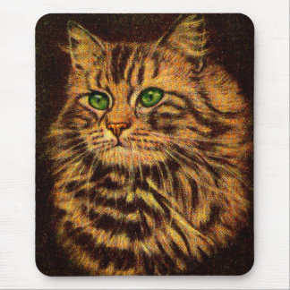 beautiful long-haired tabby cat mouse pad