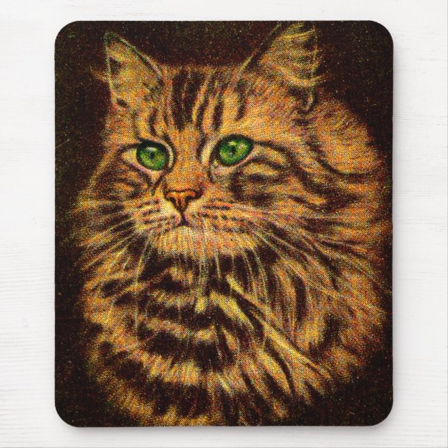 beautiful long-haired tabby cat mouse pad (Front)