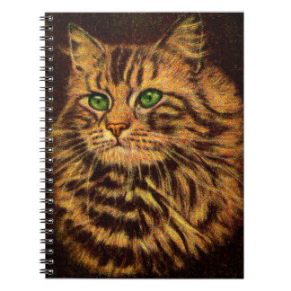 beautiful long-haired tabby cat notebook