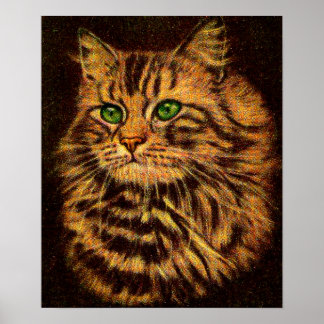 beautiful long-haired tabby cat poster