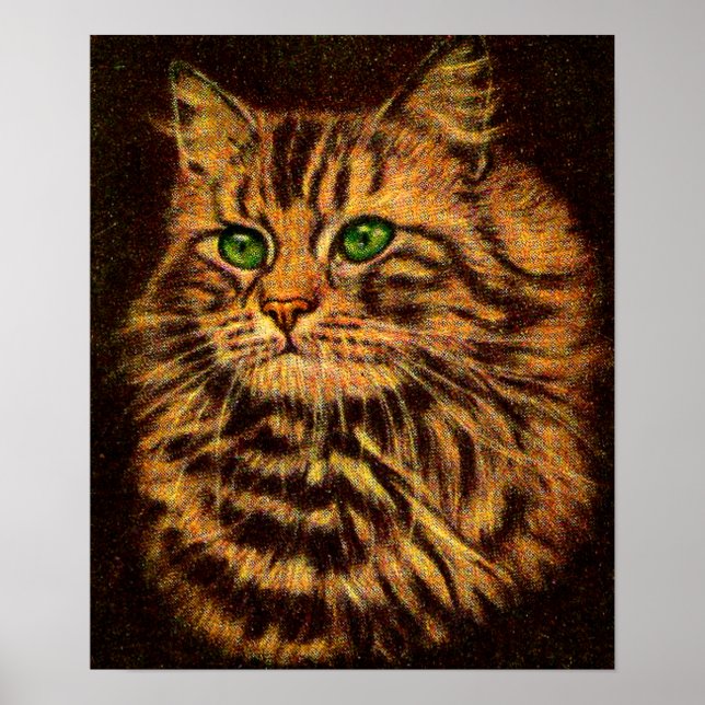 beautiful long-haired tabby cat poster (Front)