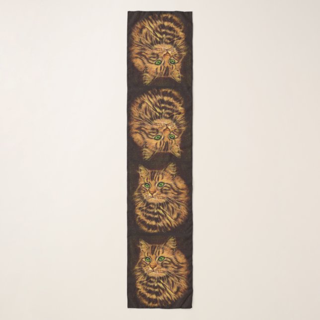 beautiful long-haired tabby cat print scarf (Front)