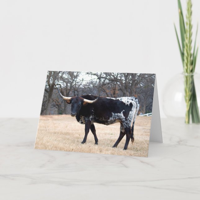 Beautiful Longhorn Card (Front)
