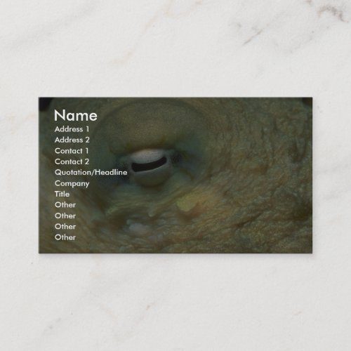 Beautiful Looking into the eye of a reef octopus Business Card