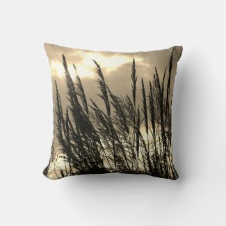 Beautiful Lotus Flower Blossom