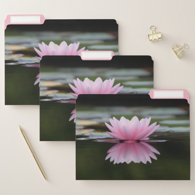 Beautiful Lotus ,Landscape File Folder (Set)