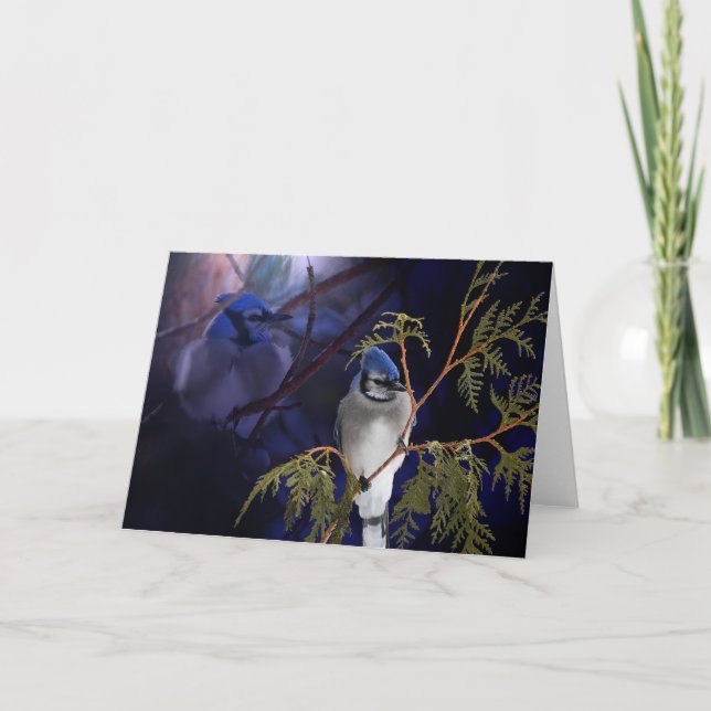 Beautiful 'Love' Blue Jay Wild Bird Card (Front)