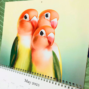 Beautiful Lovebird Watercolor Bird Cute Pet Parrot Calendar