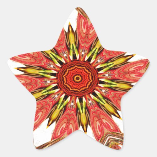 Beautiful Lovely Asian  traditional edgy pattern Star Sticker