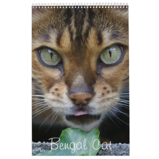 Beautiful Lovely Bengal Cats 2024 Calendar