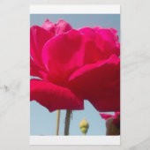 Beautiful Lovely Celestial Rose Red Against Blue  (Front)