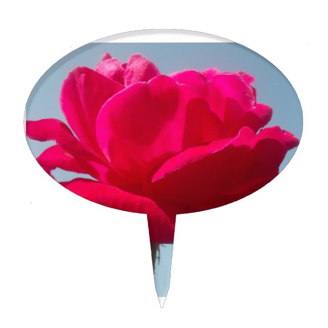 Beautiful Lovely Celestial Rose Red Against Blue  Cake Topper (Front)