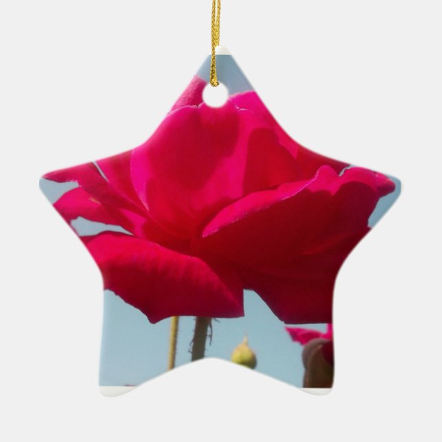 Beautiful Lovely Celestial Rose Red Against Blue  Ceramic Ornament (Front)