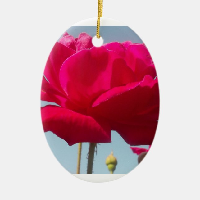 Beautiful Lovely Celestial Rose Red Against Blue  Ceramic Ornament (Front)