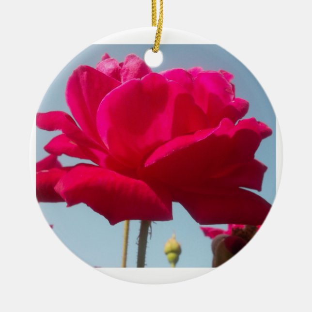 Beautiful Lovely Celestial Rose Red Against Blue  Ceramic Ornament (Front)