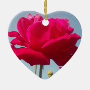 Beautiful Lovely Celestial Rose Red Against Blue Ceramic Ornament