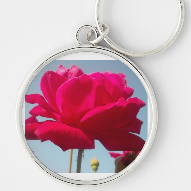 Beautiful Lovely Celestial Rose Red Against Blue  Keychain (Front)