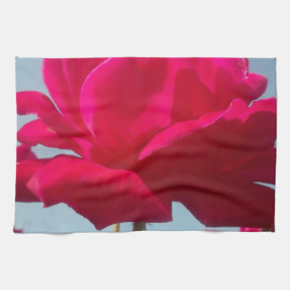 Beautiful Lovely Celestial Rose Red Against Blue Kitchen Towel