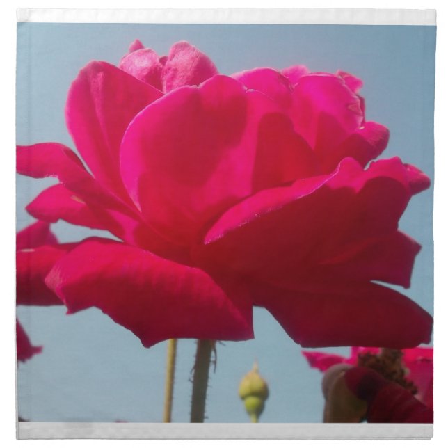 Beautiful Lovely Celestial Rose Red Against Blue  Napkin (Front)
