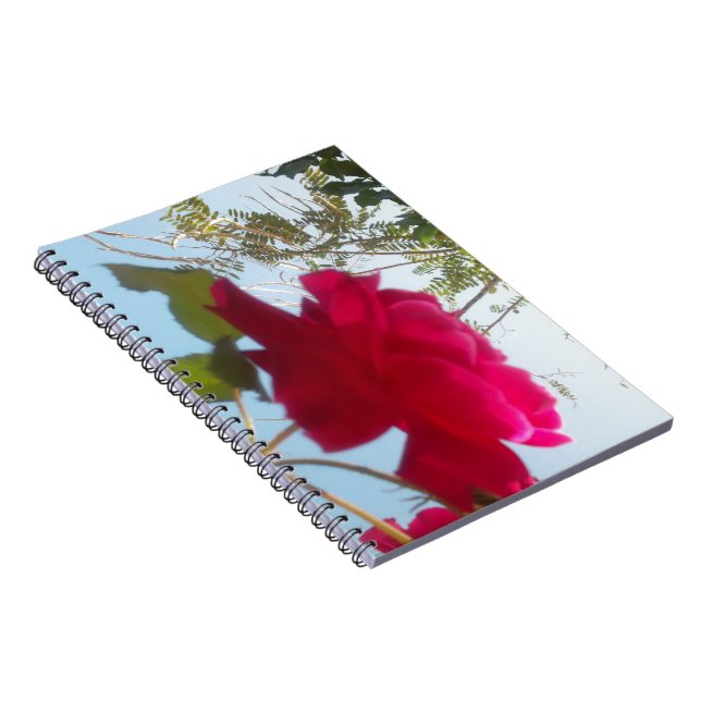 Beautiful Lovely Celestial Rose: Red Against Blue  Notebook (Right Side)