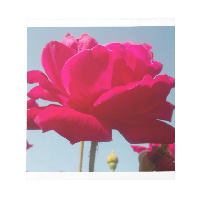 Beautiful Lovely Celestial Rose Red Against Blue  Notepad (Front)