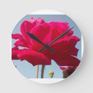 Beautiful Lovely Celestial Rose Red Against Blue Round Clock