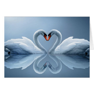 Beautiful Loving Swans gifts Cards