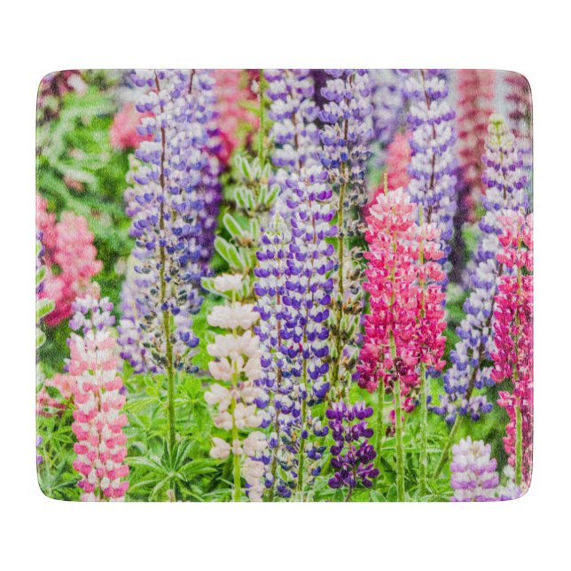 Beautiful Lupine Colorful Flowers  Cutting Board (Front)