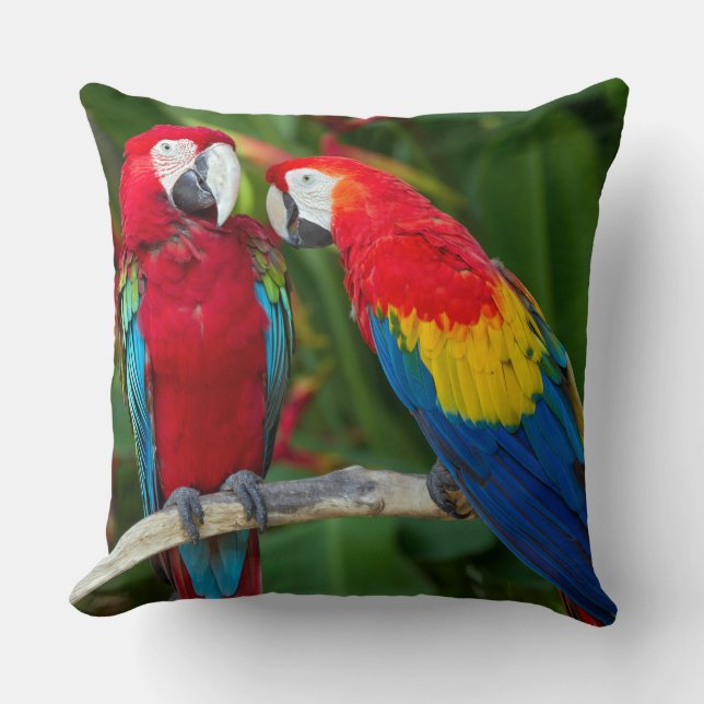 Beautiful Macaw Couple Throw Pillow (Front)