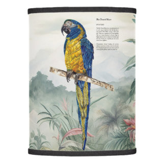 Beautiful Macaw HandPainted Lamp Shade