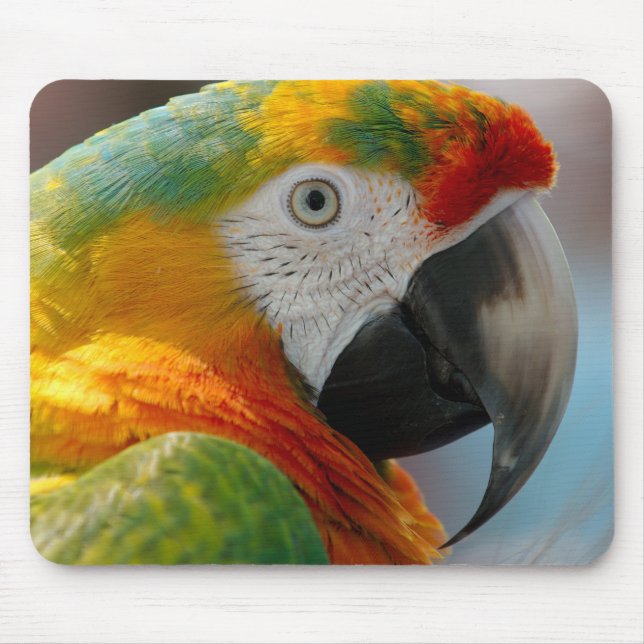 Beautiful Macaw Mouse Pad (Front)