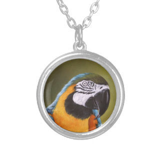 Beautiful Macaw Necklace