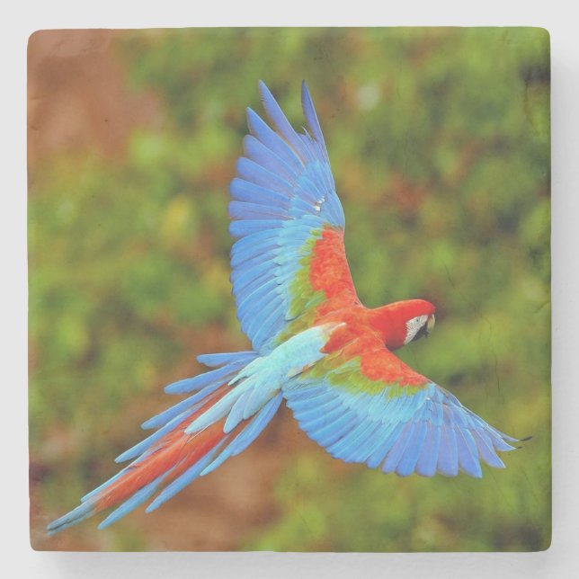 Beautiful Macaw Stone Coaster (Front)