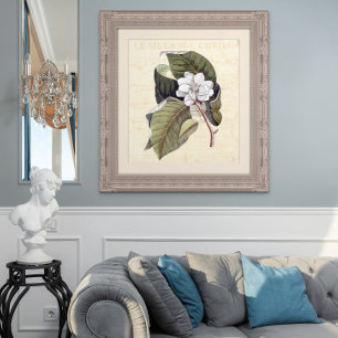 Beautiful Magnolia Blossom Antique Collage Poster